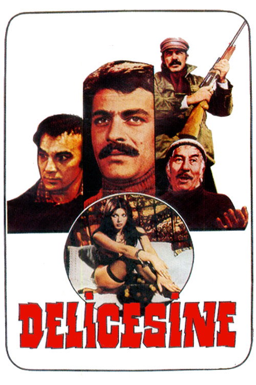 Movie poster for Delicesine (1976)