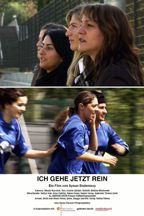 Movie poster for Ich gehe jetzt rein (2008)
