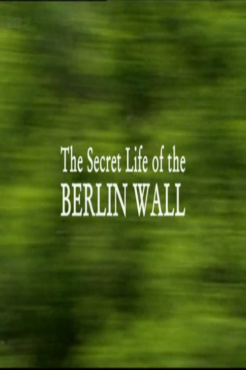 Movie poster for The Secret Life of the Berlin Wall (2009)