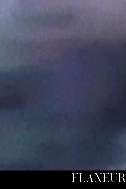 Movie poster for Flâneur (2025)