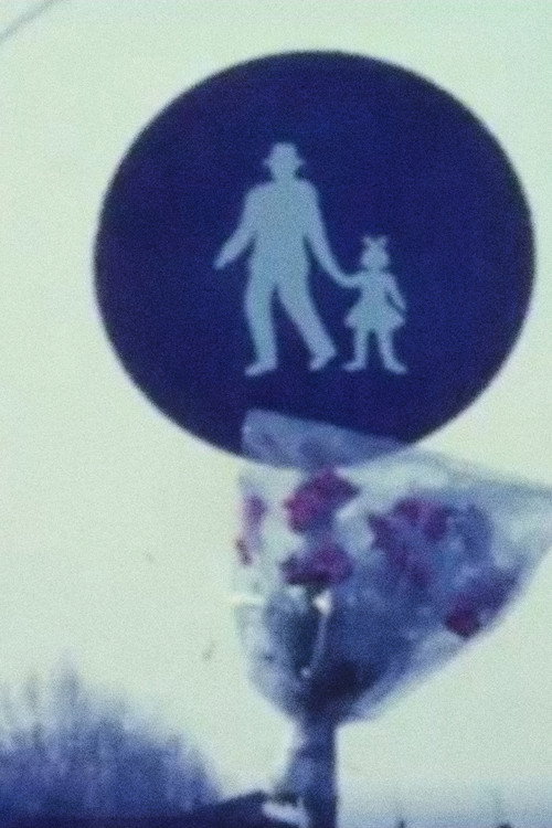 Movie poster for Il Sorriso Della Sfinge (1971)