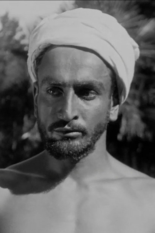 Photo of Siko Palavandishvili, Acting