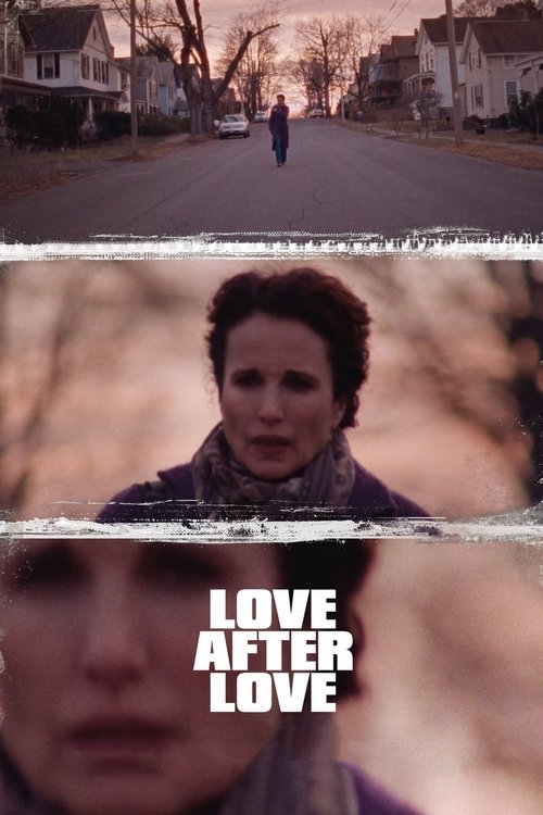 Movie poster for Love After Love (2018)