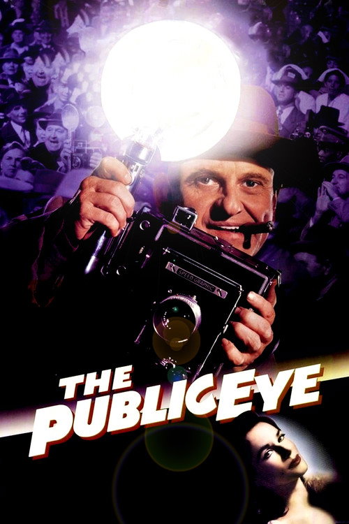Movie poster for The Public Eye (1992)