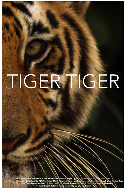 Movie poster for Tiger Tiger (2015)