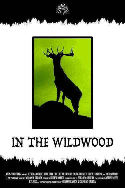 Movie poster for In the Wildwood (2018)
