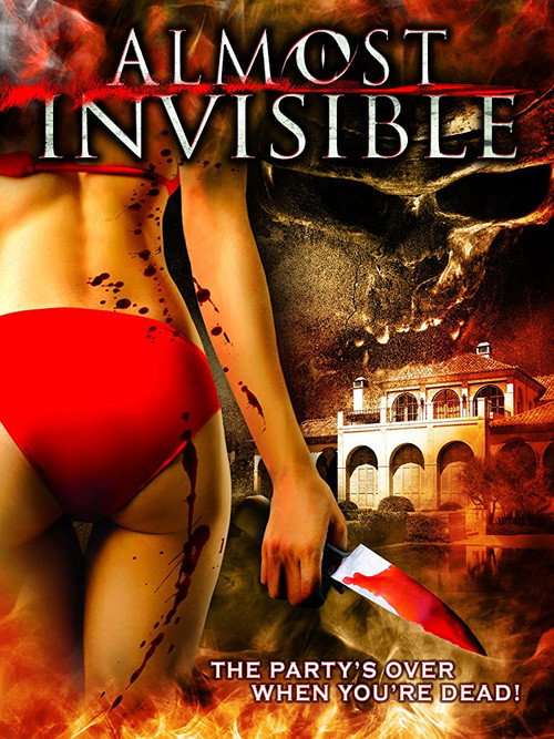 Movie poster for Almost Invisible (2010)