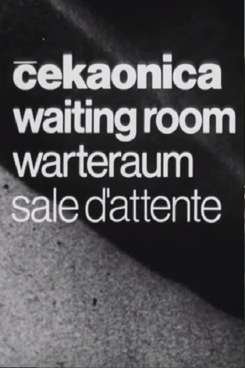 Movie poster for Waiting Room (1975)