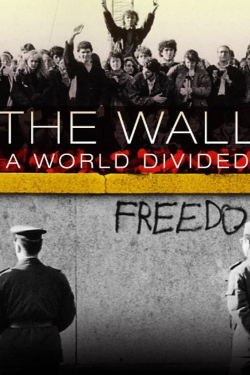 Movie poster for The Wall: A World Divided (2010)