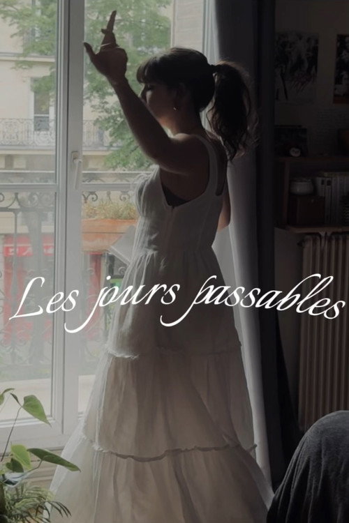 Movie poster for Les jours passables (2025)