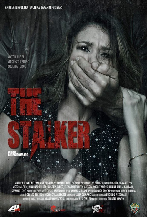 Movie poster for The Stalker (2013)