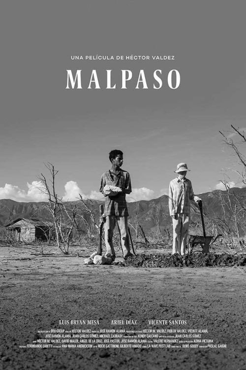 Movie poster for Malpaso (2019)