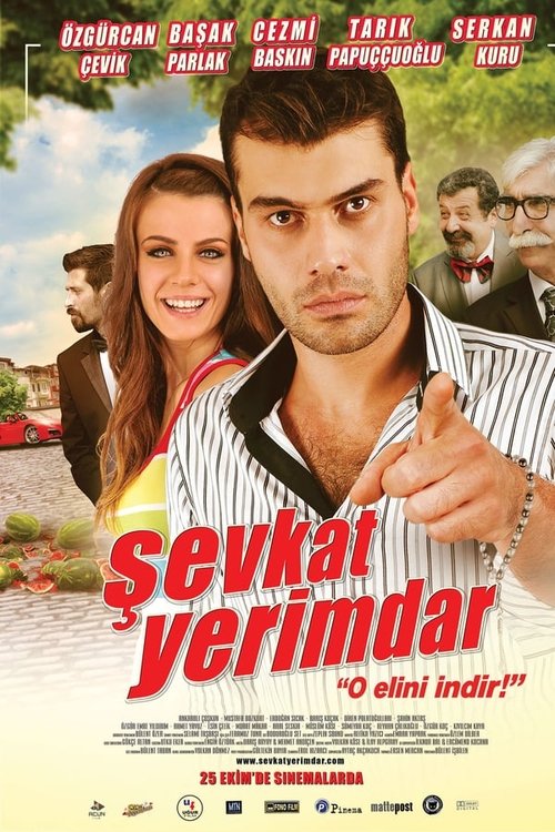 Movie poster for Şevkat Yerimdar (2013)