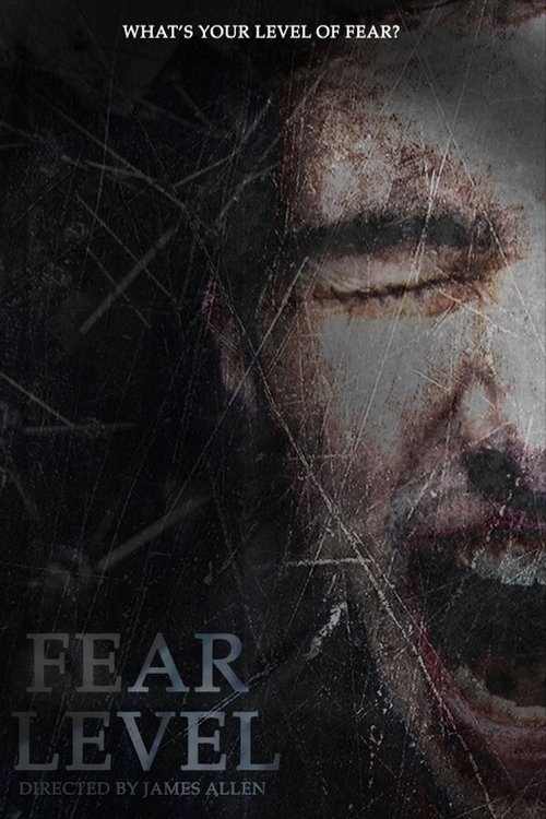Movie poster for Fear Level (2018)