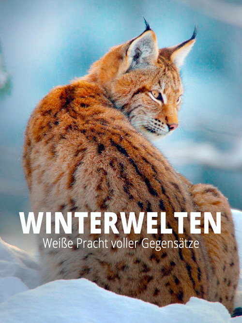 Movie poster for Terra X - Wilde Winterwelten (2014)