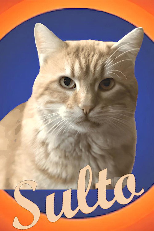 Movie poster for Sulto (2024)
