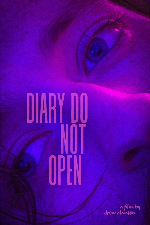 Movie poster for Diary Do Not Open