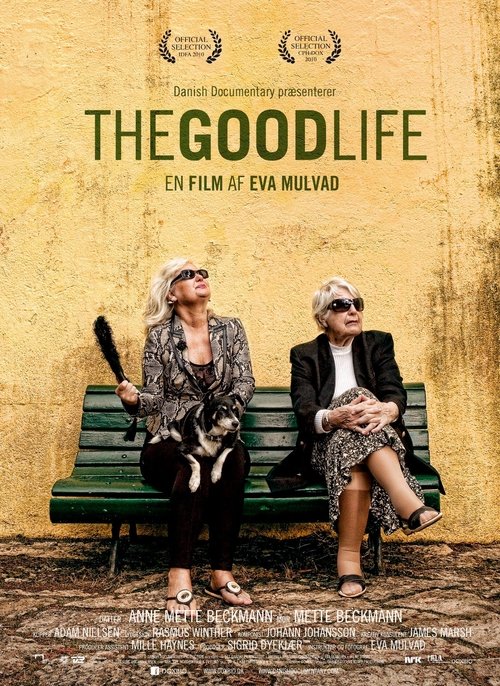 Movie poster for The Good Life (2010)