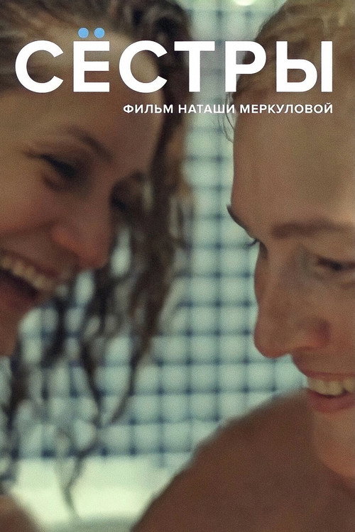 Movie poster for Sisters (2016)