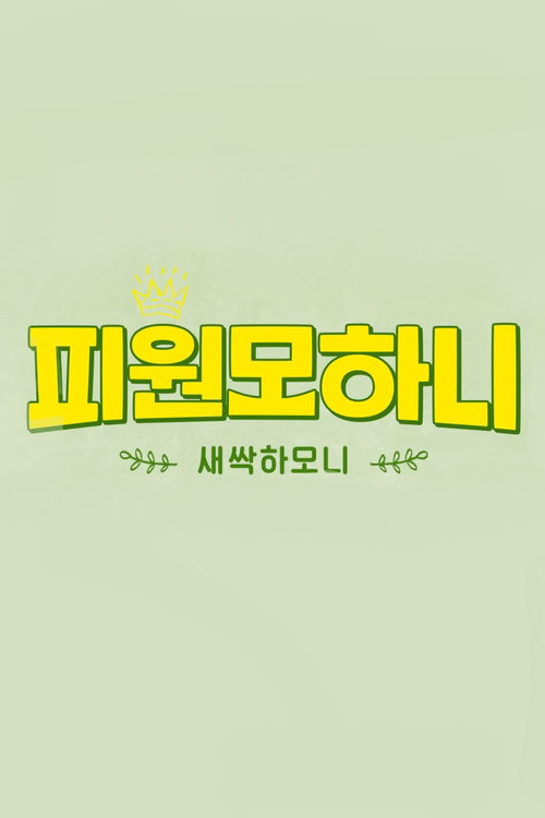 Series poster for Saessak Harmony (2021)