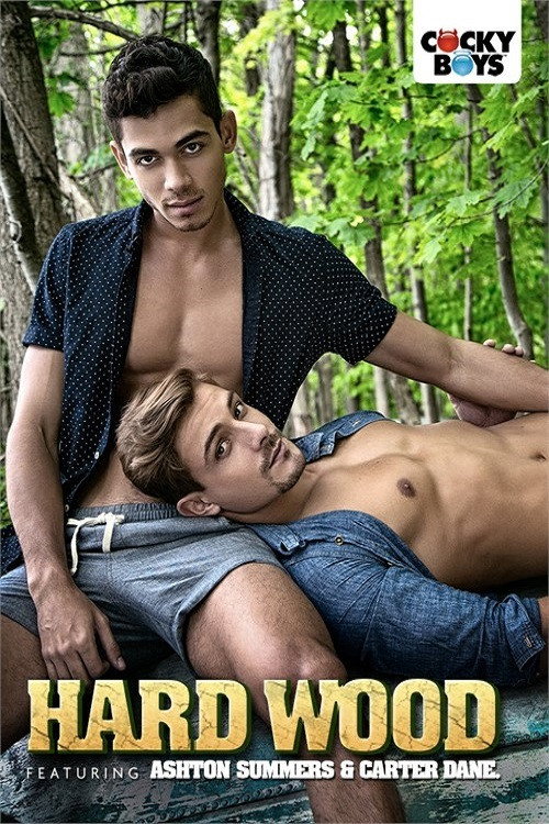 Movie poster for Hard Wood (2016)