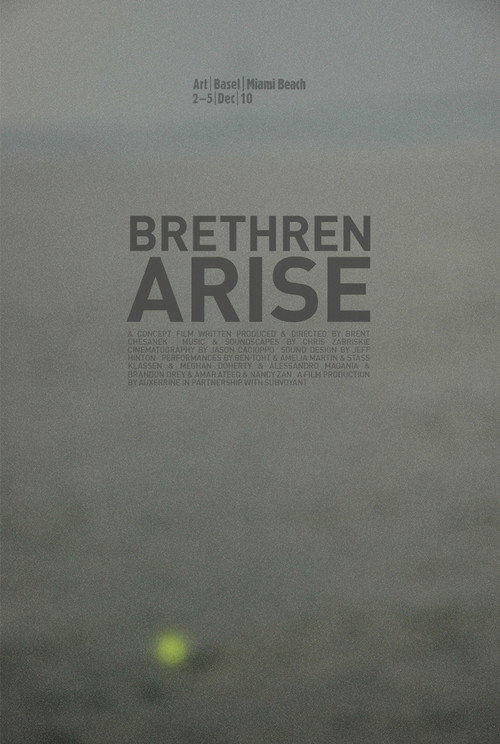 Movie poster for Brethren Arise (2009)