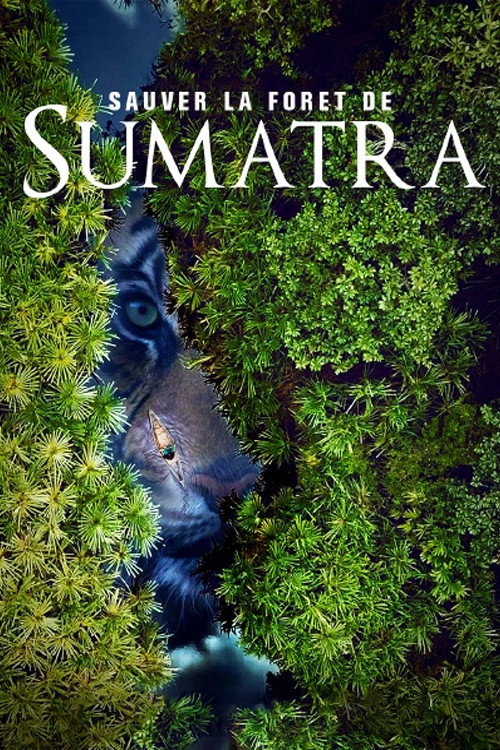 Movie poster for Save the Sumatran Forest (2019)