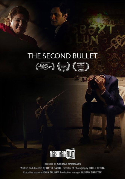 Movie poster for The Second Bullet (2017)