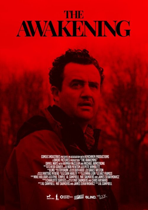 Movie poster for The Awakening (2024)