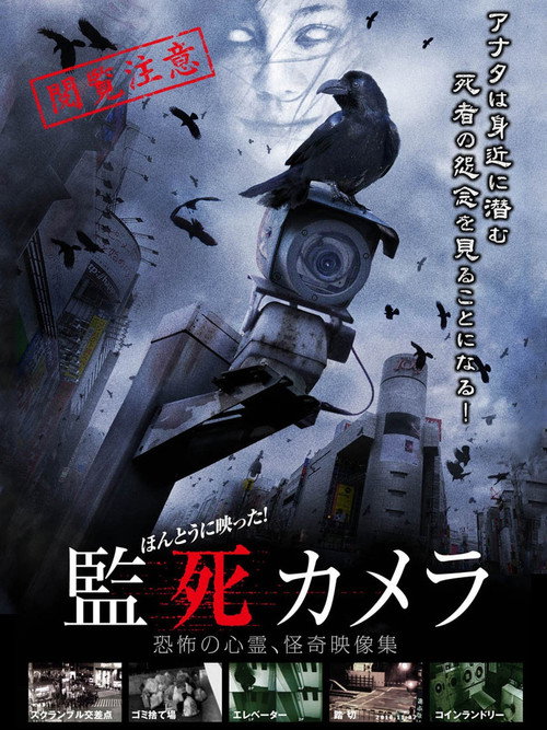 Movie poster for It Really Reflected! Captive Camera (2012)