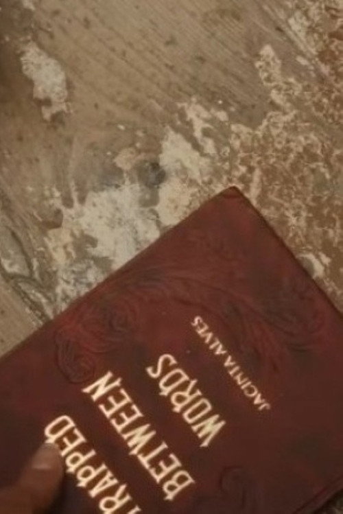 Movie poster for Trapped between words (2023)
