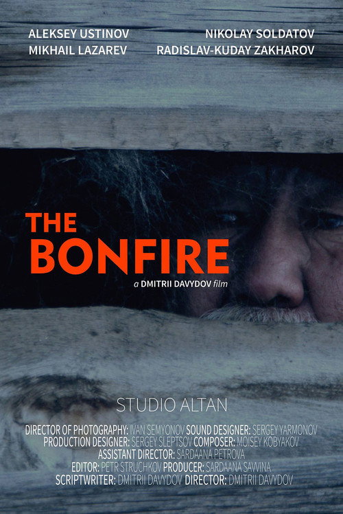 Movie poster for The Bonfire (2016)
