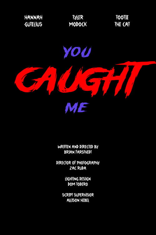 Movie poster for You Caught Me (2025)