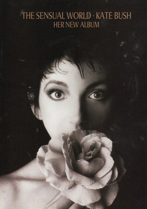 Movie poster for Kate Bush: The Sensual World - The Video (1990)