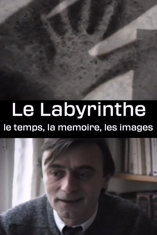 Movie poster for Le Labyrinthe - le temps, la memoire, les images (1989)