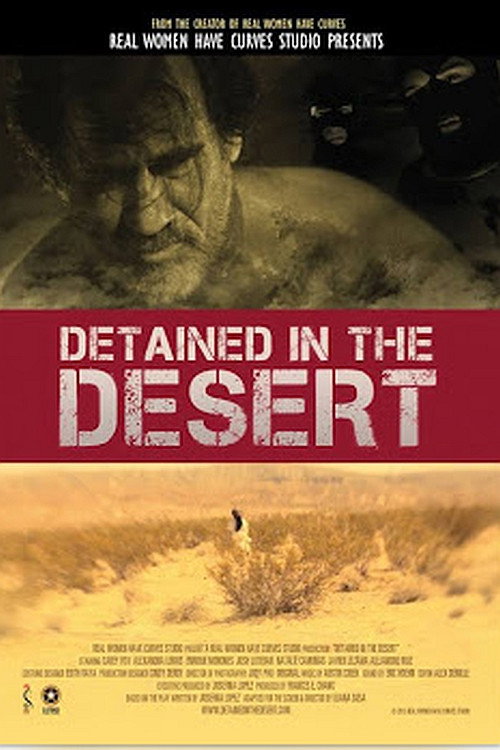 Movie poster for Detained in the Desert (2013)