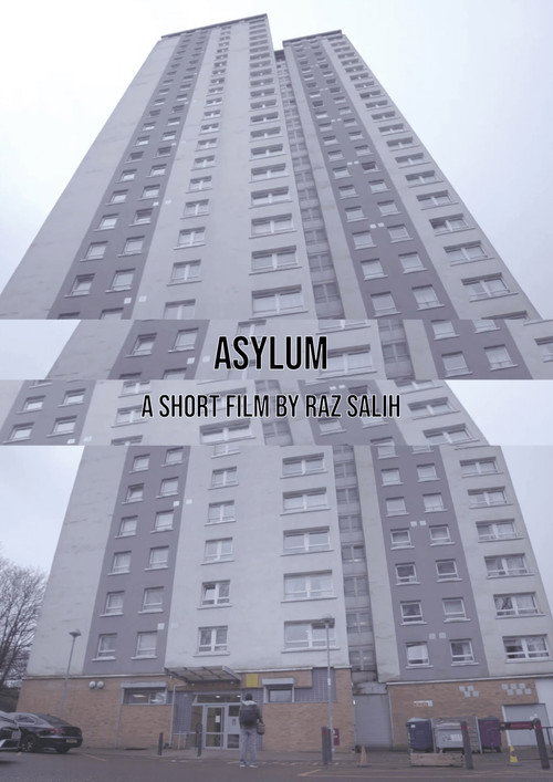 Movie poster for Asylum