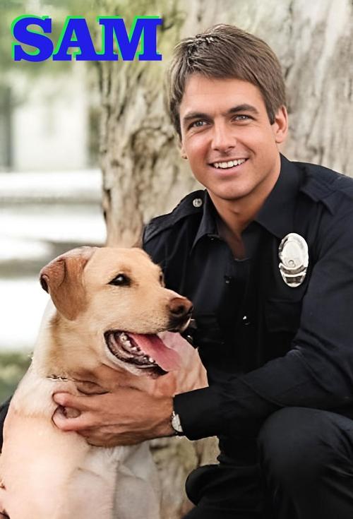 Sam poster