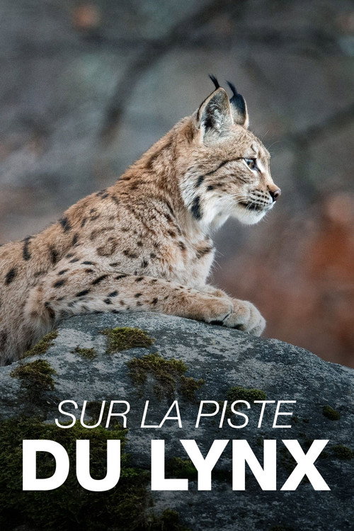 Movie poster for Sur la piste du lynx (2023)