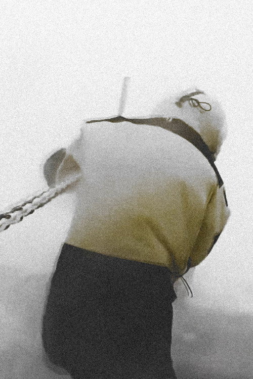 Movie poster for Wind (2023)