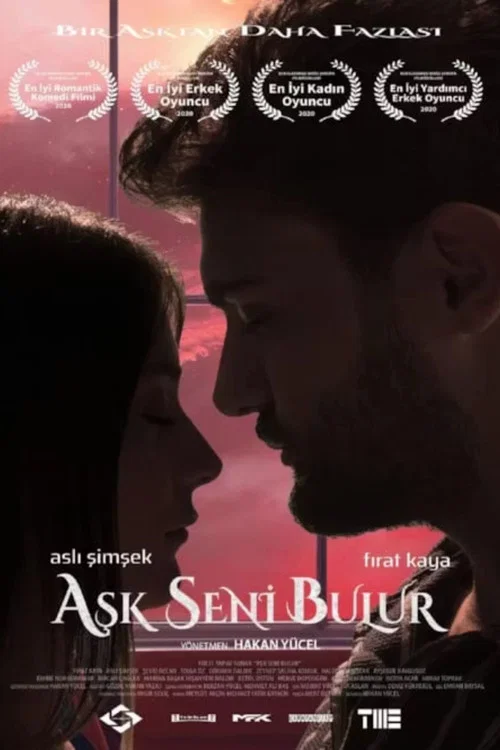 Movie poster for Aşk Seni Bulur