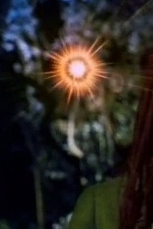 Movie poster for Hinekaro Goes on a Picnic and Blows Up Another Obelisk (1994)