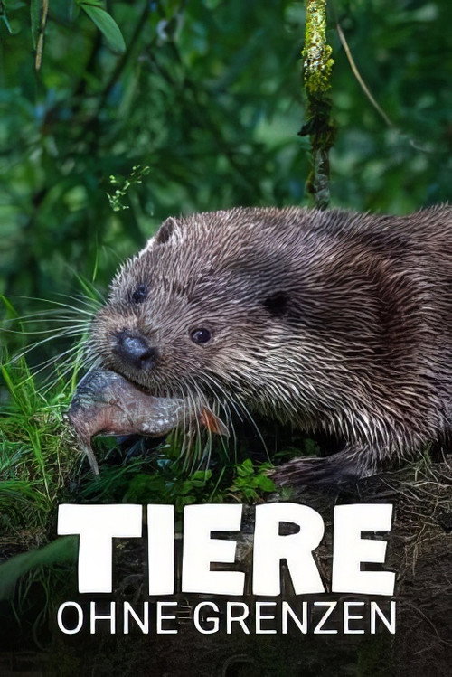 Movie poster for Tiere ohne Grenzen (2024)
