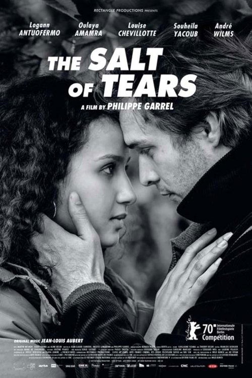 Movie poster for The Salt of Tears (2020)