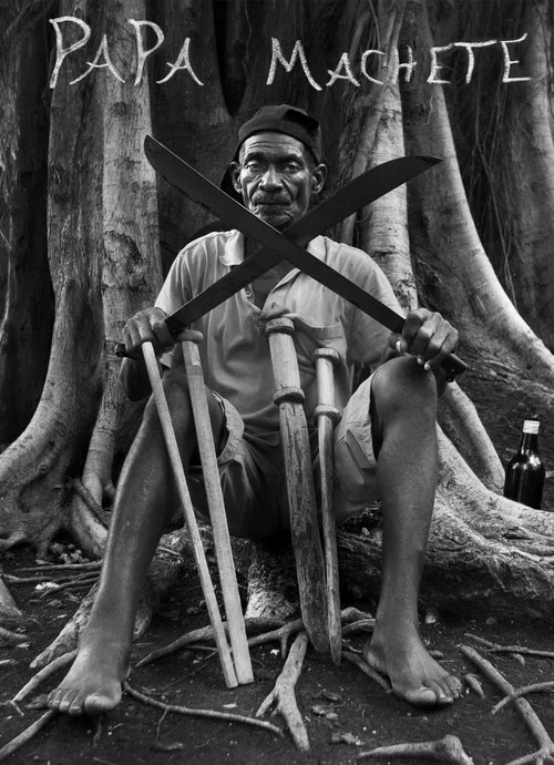 Movie poster for Papa Machete (2014)