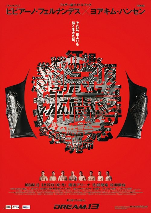 Movie poster for DREAM 13 (2010)