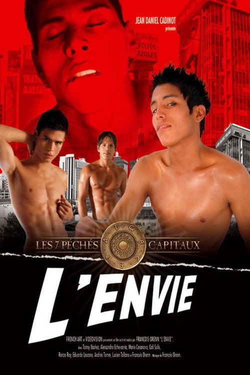 Movie poster for L'envie (2011)