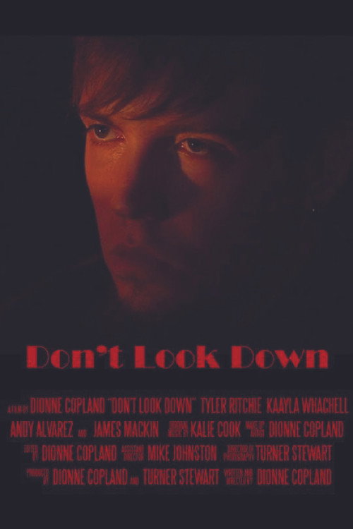 Movie poster for Don't Look Down (2015)
