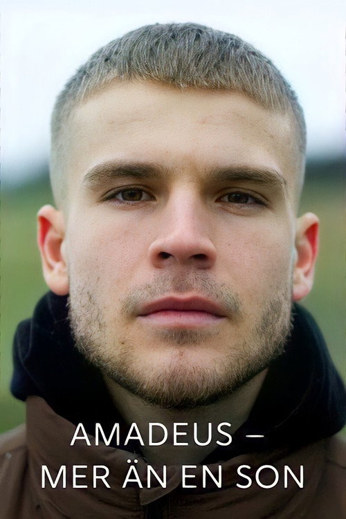 Movie poster for Amadeus - more than a son (2021)