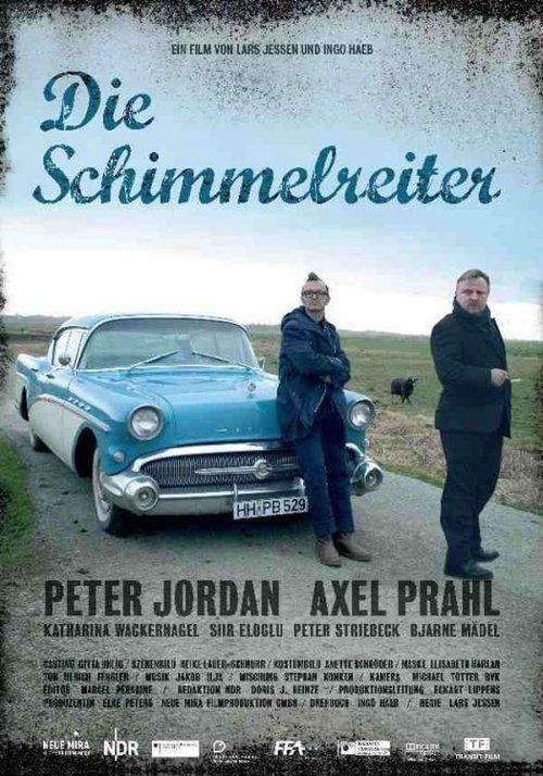 Movie poster for Die Schimmelreiter (2009)